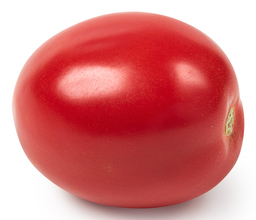 pomodori tomaat