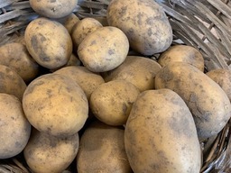 Aardappelen 'nieuwe oogst'