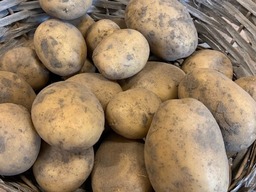 Aardappelen 'nieuwe oogst'