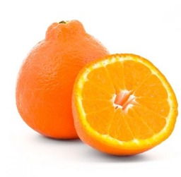 Sinaasappel minneola