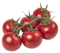 Tomaat cherry/tros