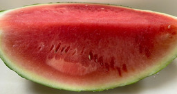 Watermeloen punt