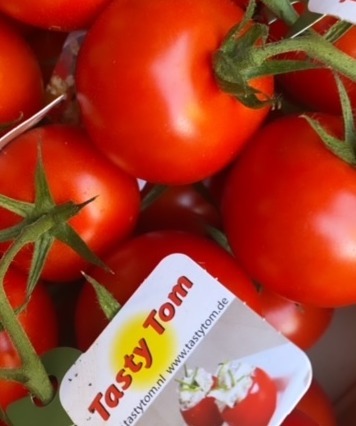 Tasty Tom Tomaten De Aubergine Tasty Tom Tomaten De Aubergine
