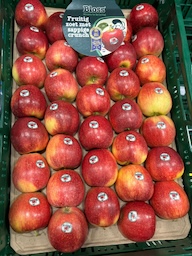 Bloss appel
