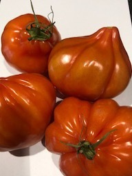 Coeur de Boeuf tomaten