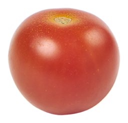 Tomaat pomodori
