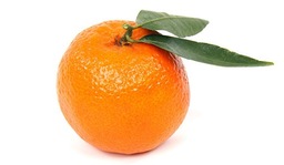 Biologische mandarijn