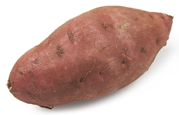 Biologische zoete aardappel