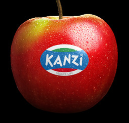 Kanzi