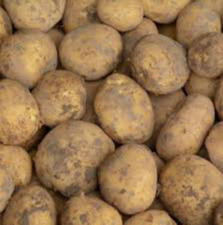 Aardappel Eigenheimers
