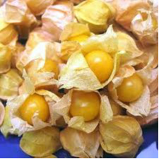 Ananaskers (physalis)