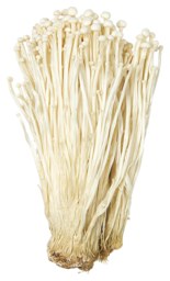 Enoki mushroom 2