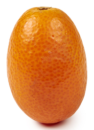 Kumquat