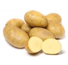 Aardappel Nicola  