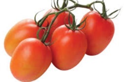 Pomadori tomaat