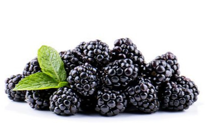 Braambes - Fruitbedrijf Hermans