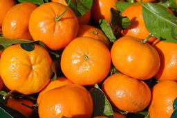 Clementine (Per stuk)