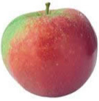 Grote appels (Per stuk)