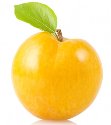 Pruim Geel