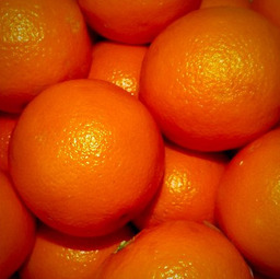 Sinaasappel pers