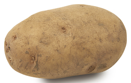 Aardappel Eigenheimer Bloemig Bio