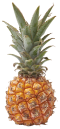 Ananas medium