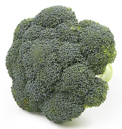 Broccoli biologisch