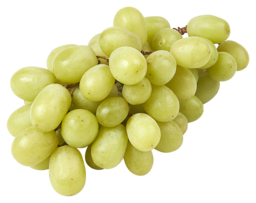 Druiven pitloos 