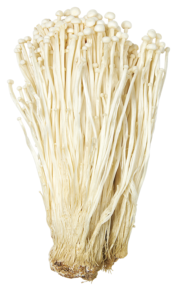 Enoki mushroom Joe's Groente en Fruit