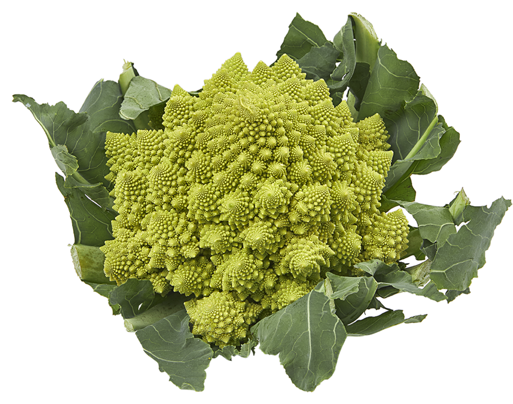 Romanesco mega - Joe's Groente en Fruit