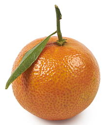 Clementine met blad
