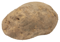 Aardappel argri grof