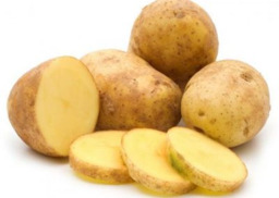 Aardappel frieslander  NIEUWE OOGST
