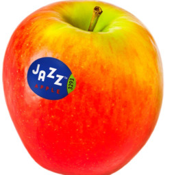 jazz appel
