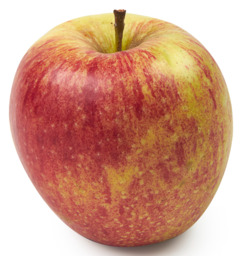 Jonagold (kopie)