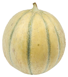 Meloen charantais