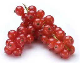 rodebessen  500gr