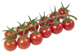 Tomaat troscherry