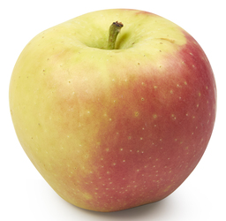 Kanzi 78-83 gelegd   1 appel is ongeveer 200gr.