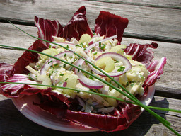 Lente salade