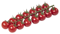 Cherry trostomaatjes 