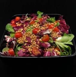 Mache salade 
