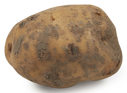 Aardappel Doré