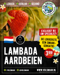 Aardbeien Vierpolders
