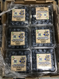 Blauwe bessen groot bakje