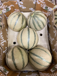 Cantaloupe meloen