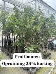 fruitbomen en fruit struiken 25% korting, verschillende prijzen