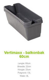 Huyskweker Zomer bloembak Vertimaxx 60 bestel- en opkweekservice  Huyskweker Zomer bloembak Vertimaxx 60 bestel- en opkweekservice