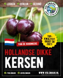 Kersen Kordia Hollandse