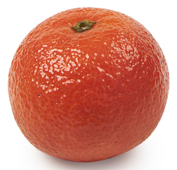 Mandarijnen clementine 